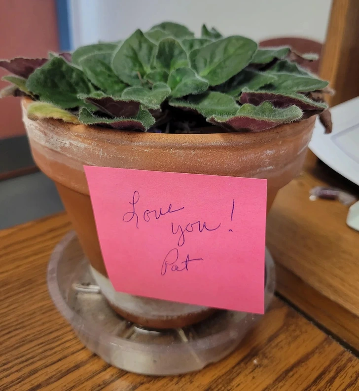 This image has an empty alt attribute; its file name is awesome-boss.webp